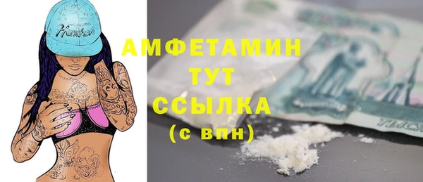 индика Бугульма