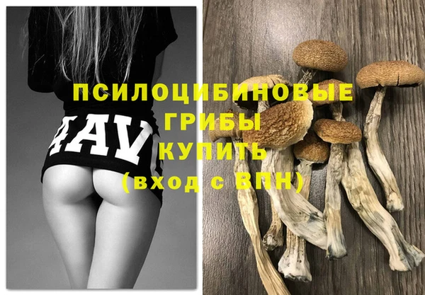 тгк Володарск